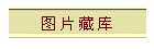 ͼ Ƭ �� ��