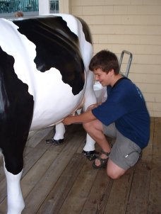 milkin' the plastic cow..