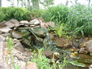 Joop Ueffing's backyard pond