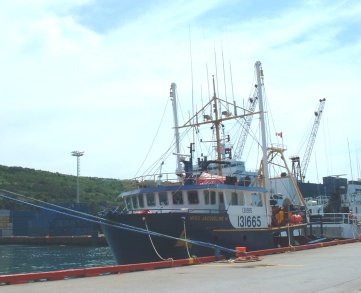 ship in port at St. John's, Newfoundland
