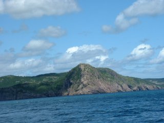 view from the whale-watching boat
