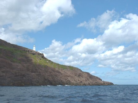 lighthouse atop a hill from whale-watching boat
