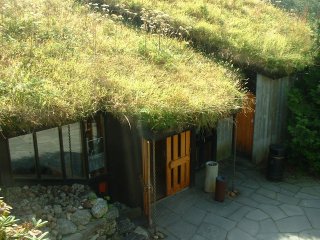 the Troll house? w/ grass on the roof