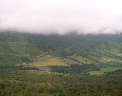 really low heavy fog (we were stuck in it so badly that we couldnt even see the road)