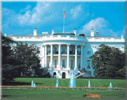 White House Daylight 