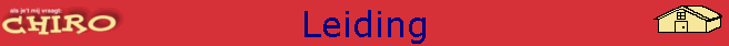Leiding