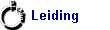 Leiding