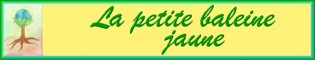 La petite baleine...