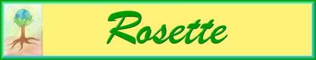 Rosette