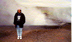 thermal.gif (18983 bytes)