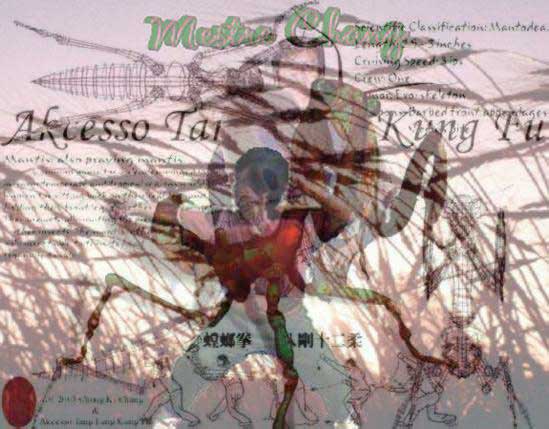 KUNG FU KUNGFU Visão Estrutural do Tang Lang Quan