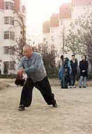 Tang Lang Quan na Shan Dong