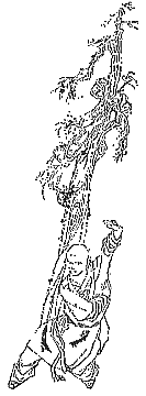 Shao Lin Kung Fu