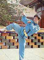 KUNG FU KUNGFU Mei Hua Tang Lang Quan