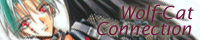banner 2