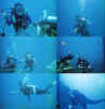 sipadan1999.jpg (298358 bytes)