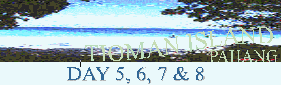 title image
