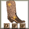 D'Wild West Vote