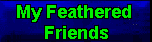 My Feathered Friends