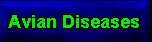 Avian Diseases