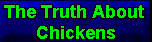 The Truth About Chickens