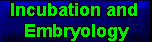 Definitions Relating to Poultry Incubation and Embryology