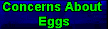 Some Consumer Concerns About Eggs