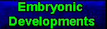 The Timing of Major Embryonic Developments