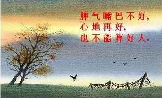 card5