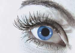 Augen