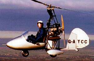 cricket.jpg (8788 bytes)