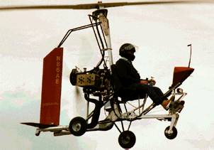 falcon.jpg (11053 bytes)