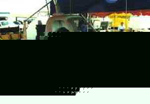 falcon2.jpg (10879 bytes)