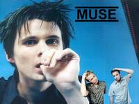 Muse