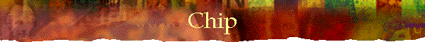 Chip