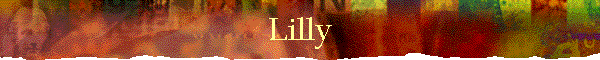 Lilly