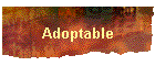 Adoptable