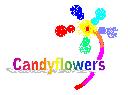 go to candyflowers