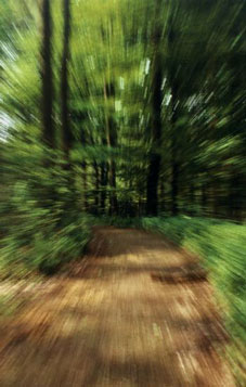 Percezione dell'optical flow che si ha 
muovendosi ad una certa velocit�