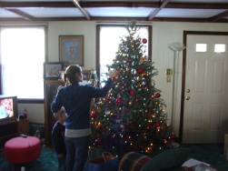 tree trimmin'