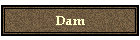 Dam