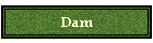 Dam