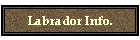 Labrador Info.