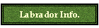 Labrador Info.