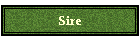 Sire