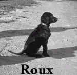 roux.jpg (41635 bytes)