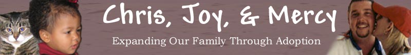 Chris & Joy Expanding Our Family Through Adoption