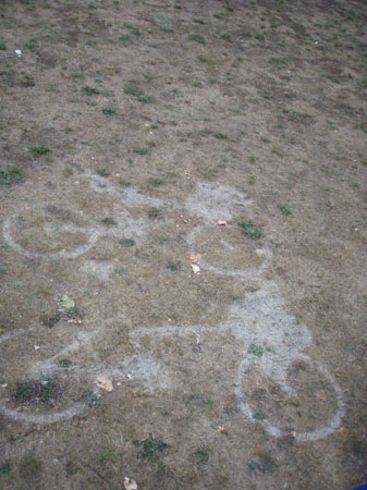 cycleor_07_dew_morning