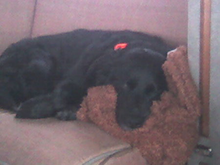 Baluga-couch