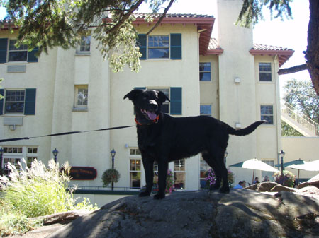 columbia_crest_or